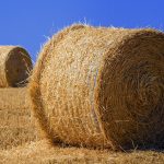 Kredyt hipoteczny bez tajemnic – poradnik dla początkujących